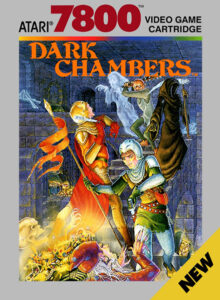 Dark Chambers